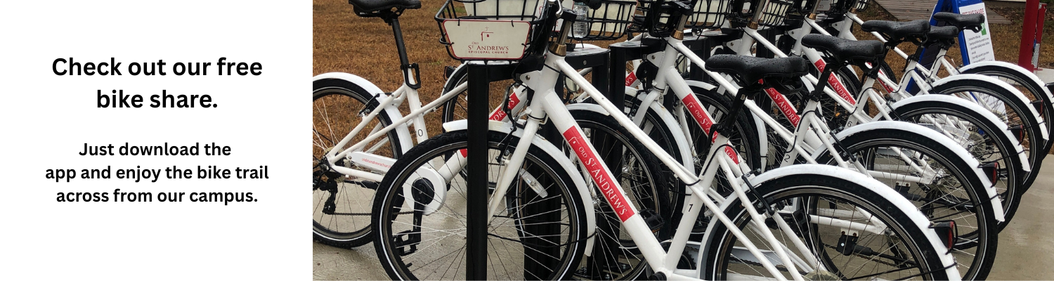 free bike share metaslider free bike share meta sllider